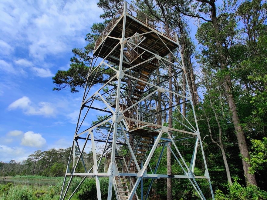 Assawoman Wildlife Area