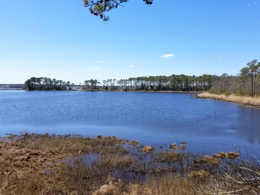 Assawoman Wildlife Area