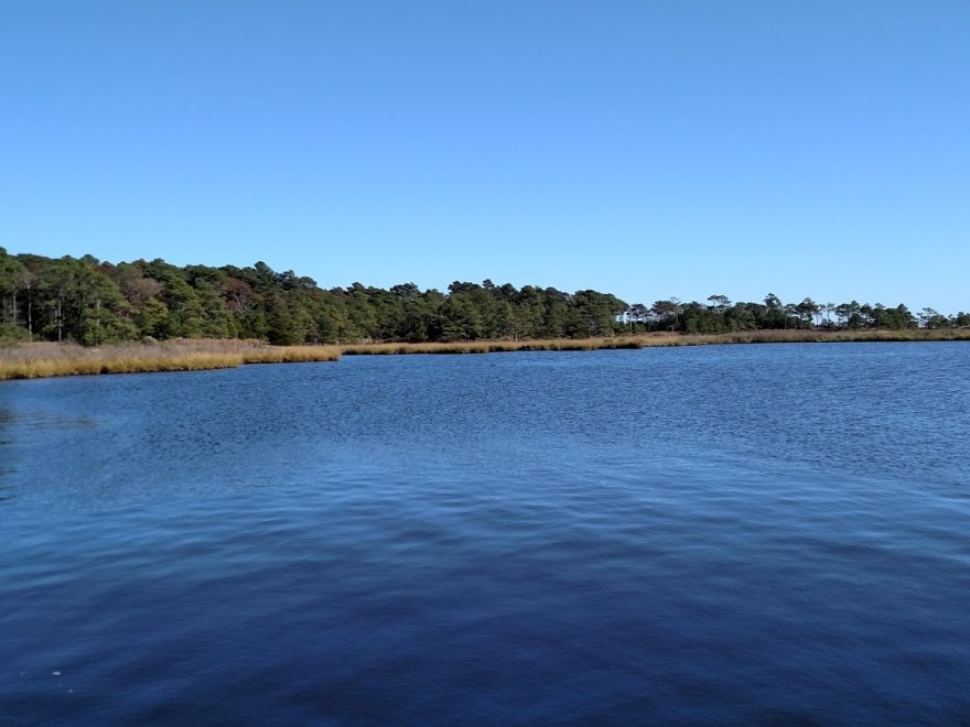 Assawoman Wildlife Area