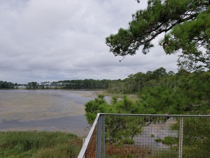 Assawoman Wildlife Area