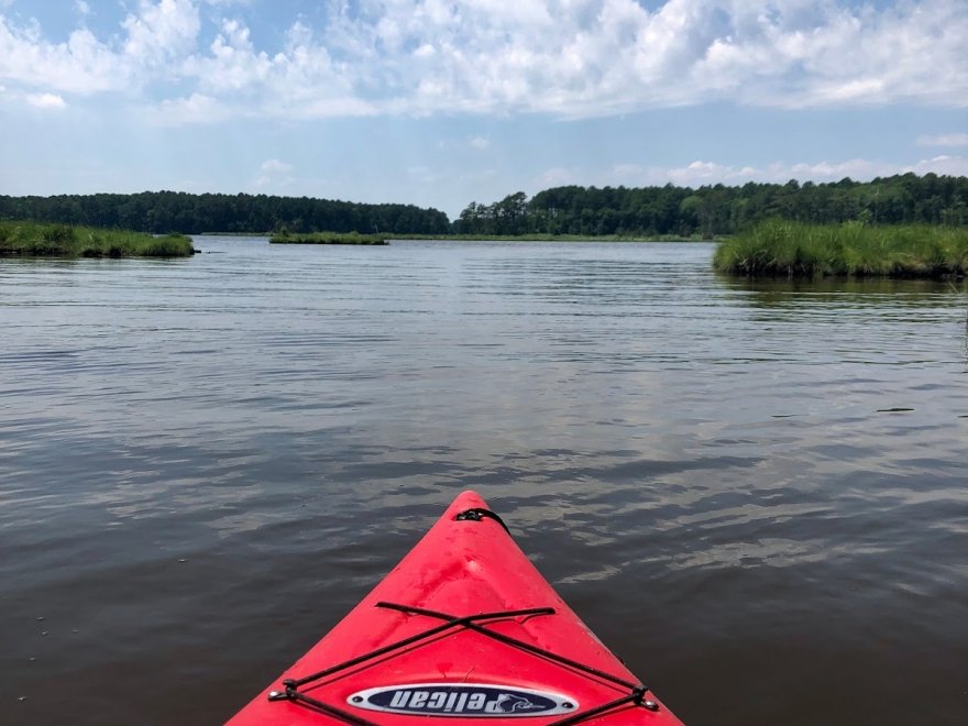 Assawoman Wildlife Area