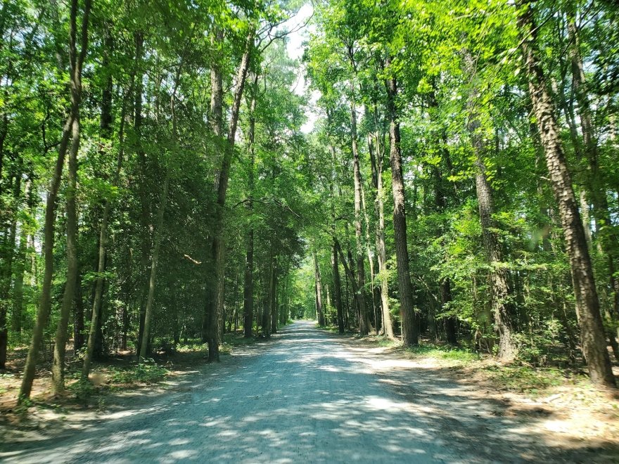 Assawoman Wildlife Area