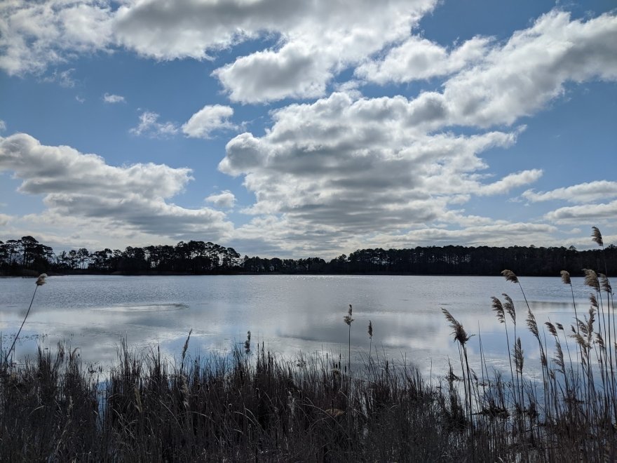 Assawoman Wildlife Area