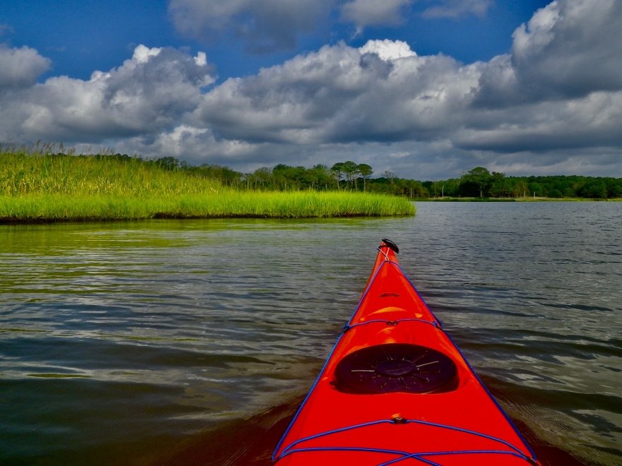 Assawoman Wildlife Area