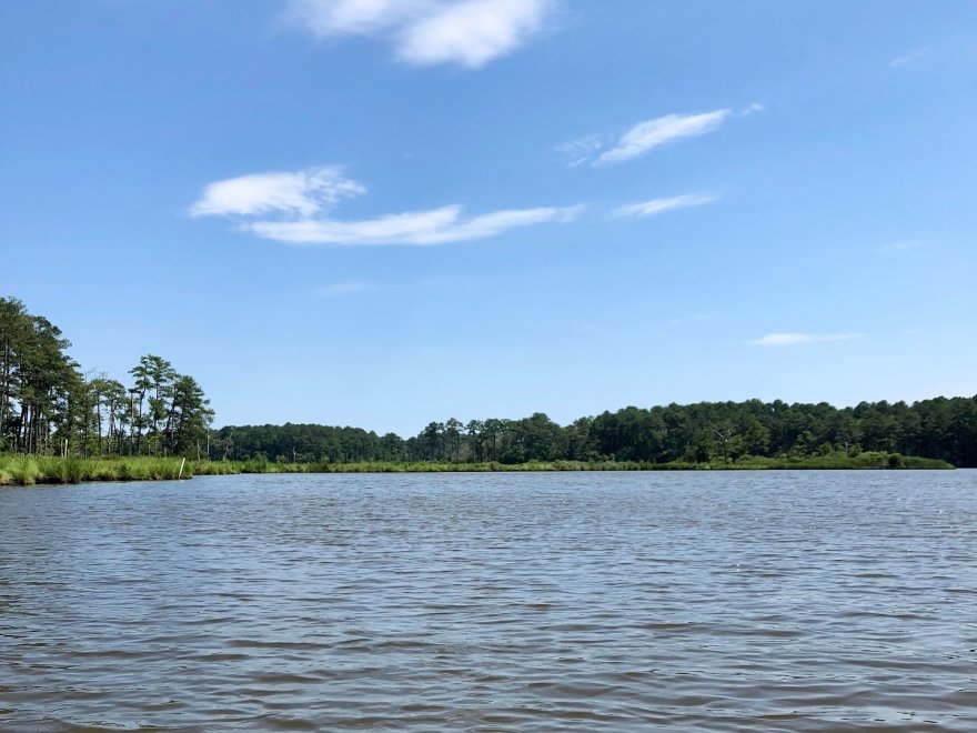 Assawoman Wildlife Area