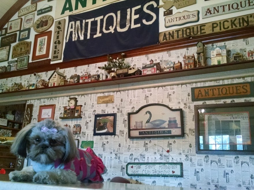 Antique Alley of Bridgeville llc