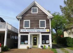 Cape Artists Gallery