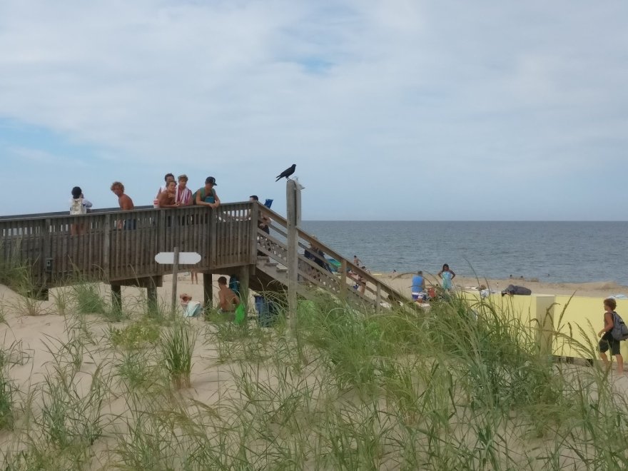 Bethany Beach Bandstand SouthDel Sidekick