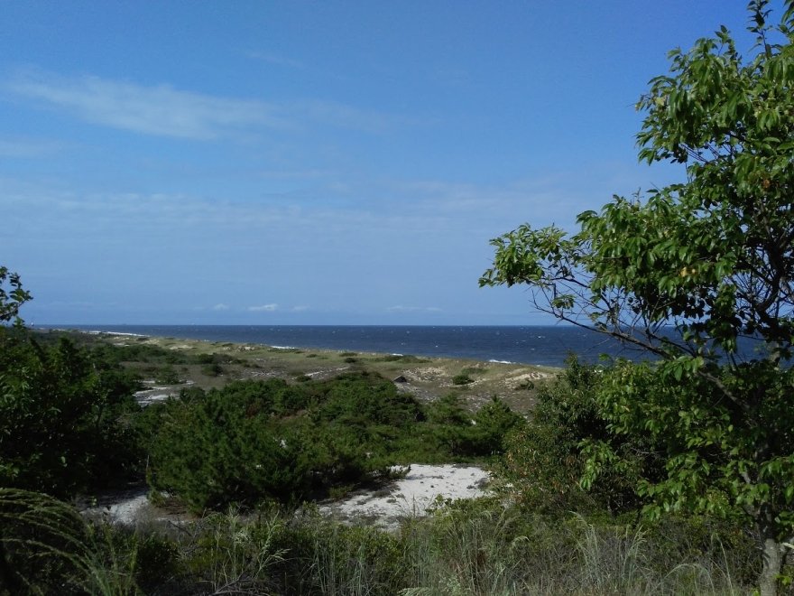 Fort Miles Museum and Historic Area