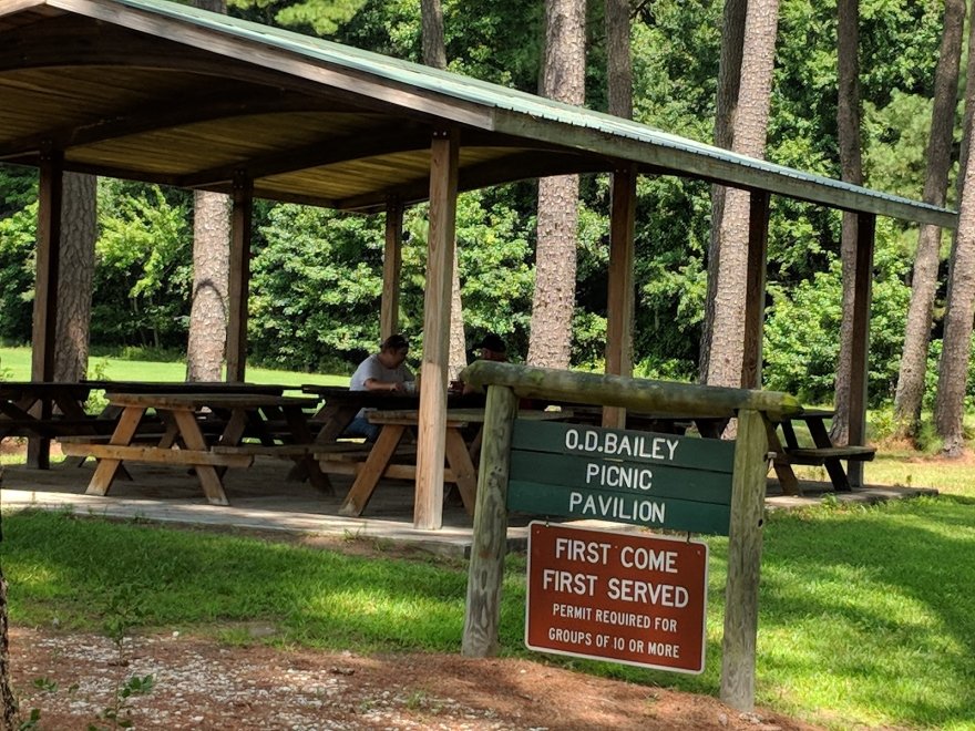 Redden State Forest