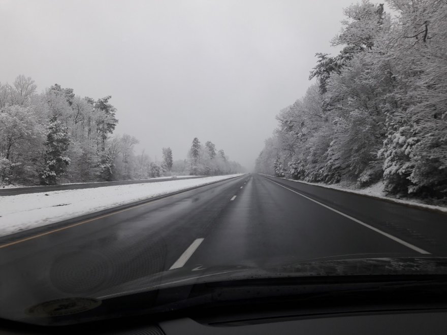 Redden State Forest