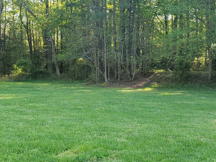 Redden State Forest