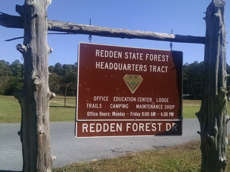 Redden State Forest