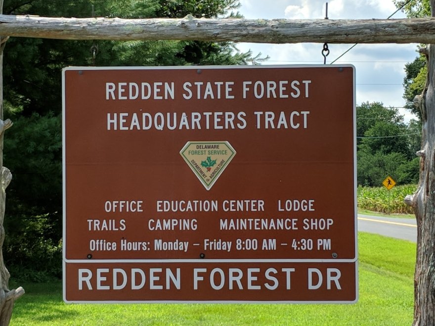 Redden State Forest