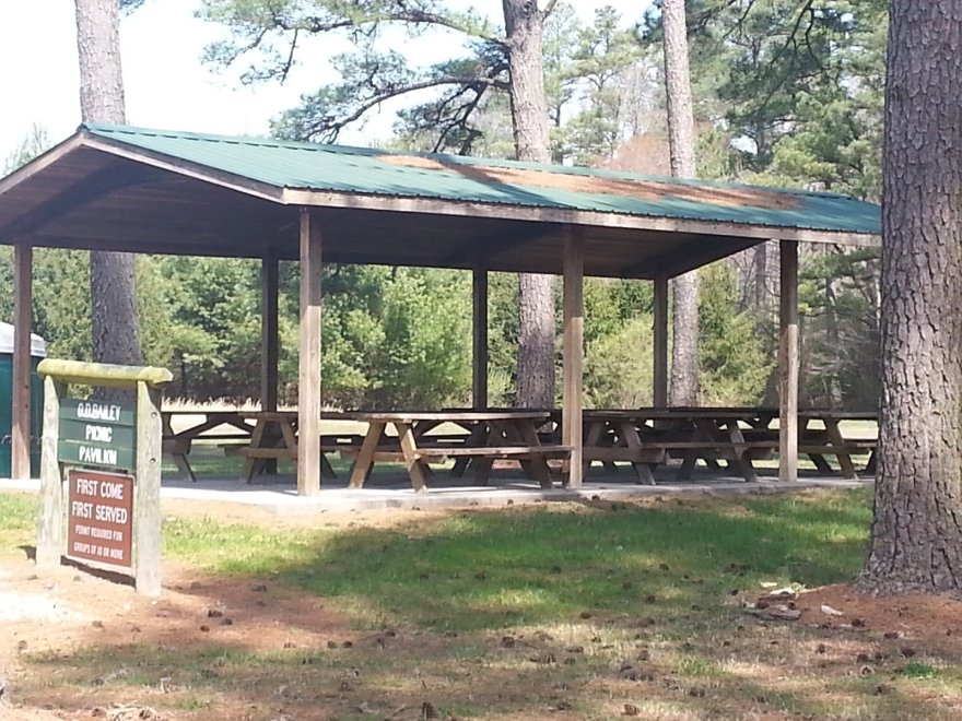 Redden State Forest