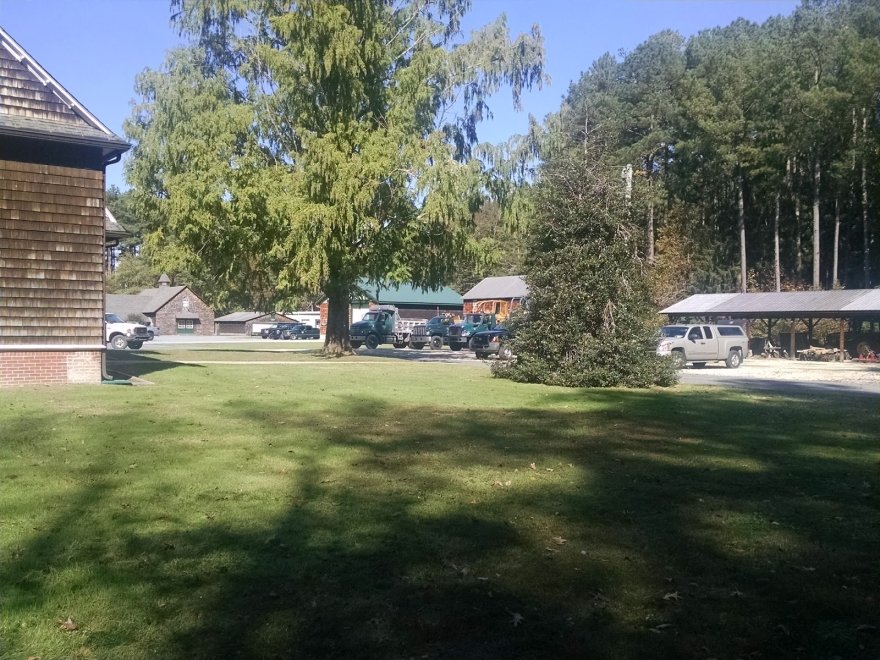 Redden State Forest