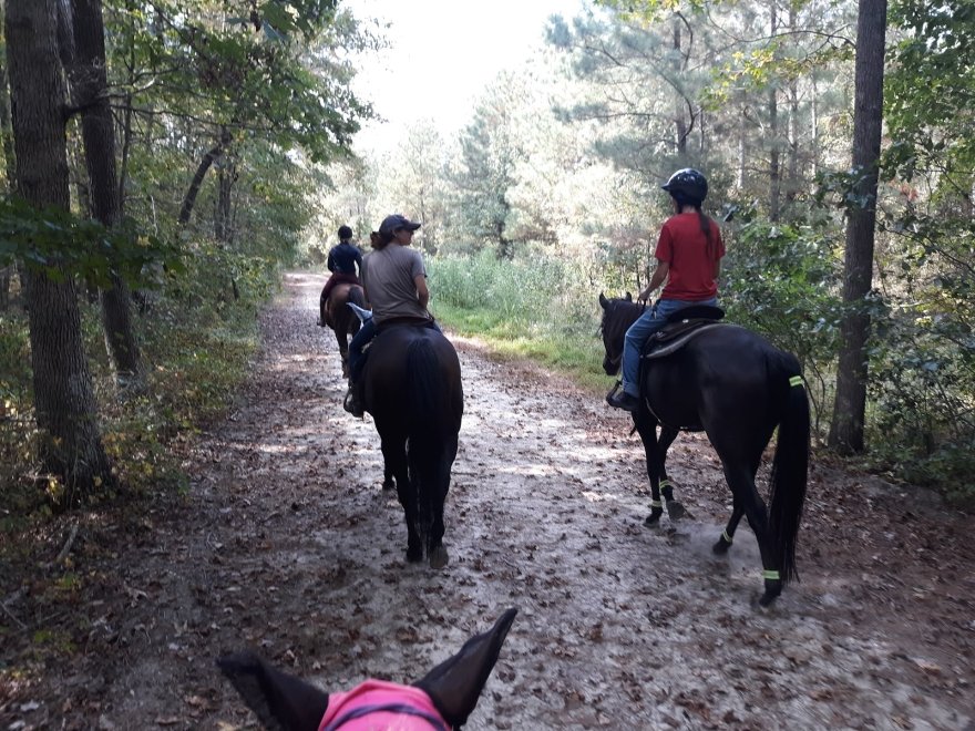 Redden State Forest