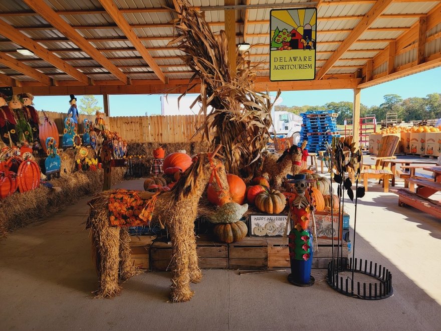 Parsons Farms Produce