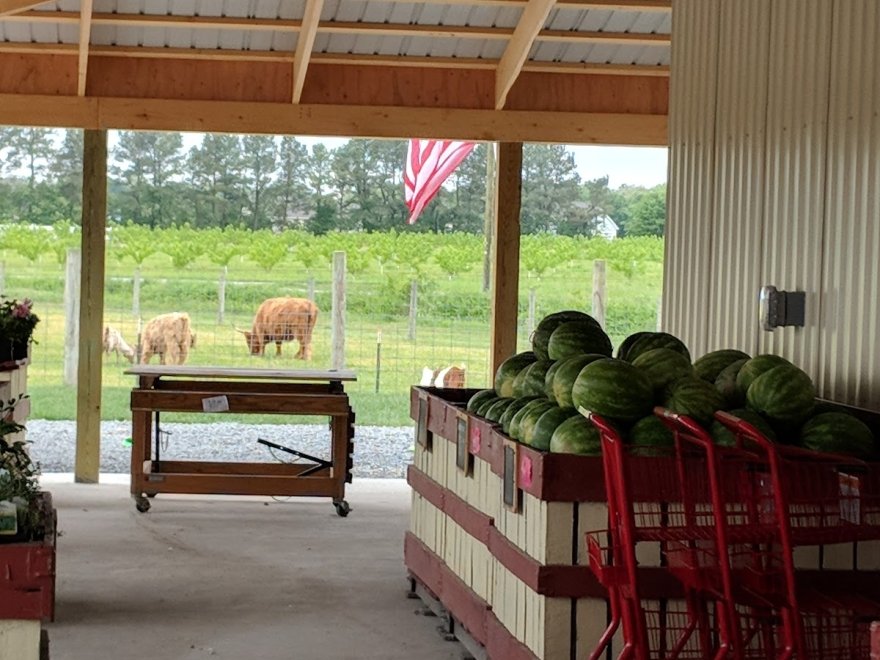 Parsons Farms Produce