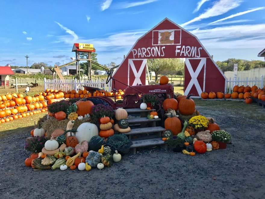 Parsons Farms Produce
