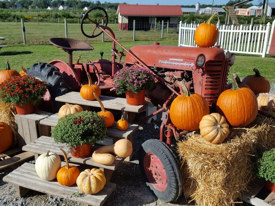 Parsons Farms Produce