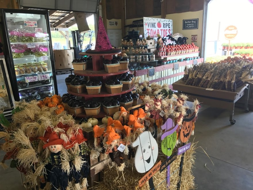 Parsons Farms Produce