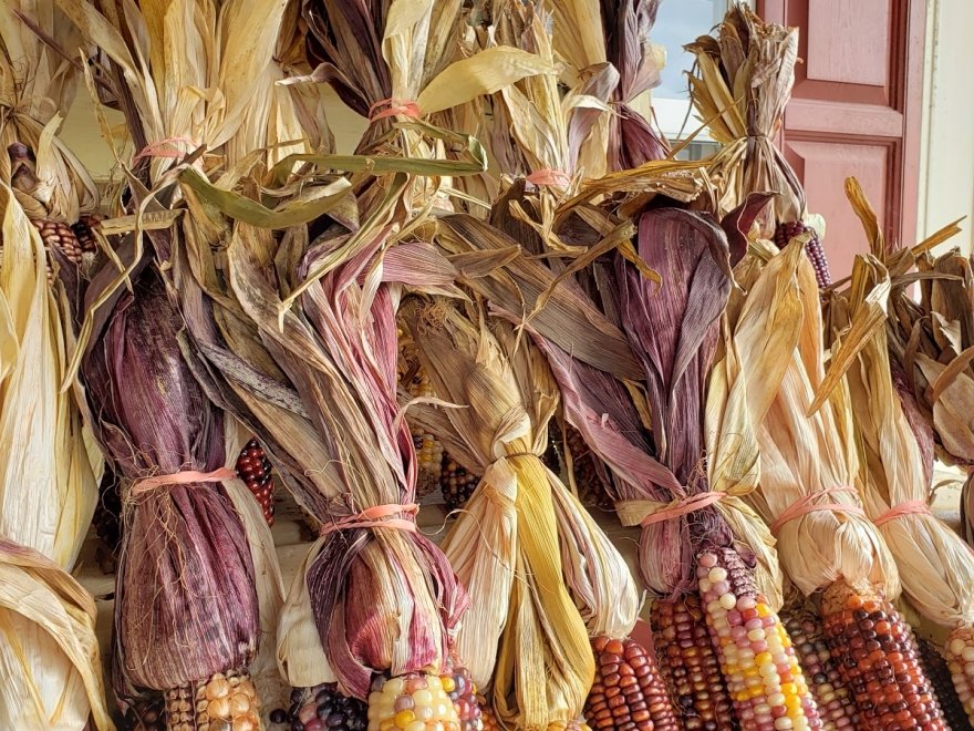 Parsons Farms Produce