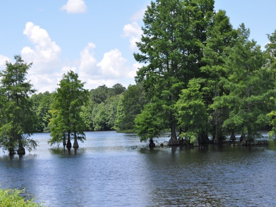 Baldcypress Nature Center