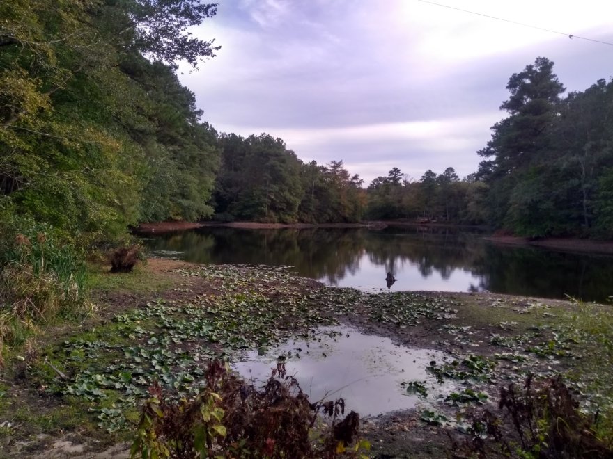 Baldcypress Nature Center